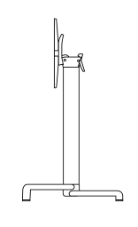 croquis base scudo