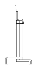 Croquis ibisco base
